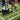 Gym turf