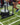 Gym turf
